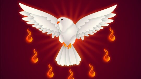 PENTECOST MESSAGE 2025 The Church Needs a Reform—More So, the Clergy Needs a Greater Reform